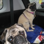 Yep. Still in the car...