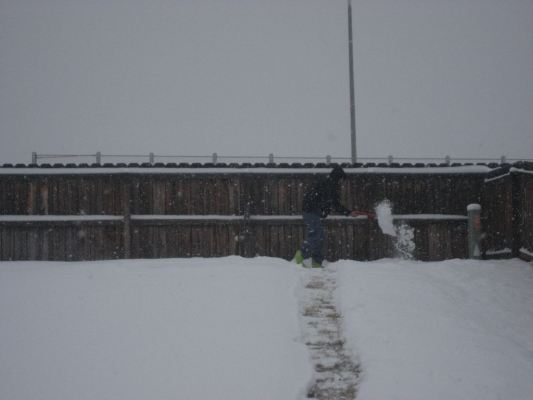 shoveling.jpg